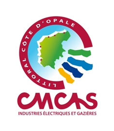 CMCAS logo officiel 2012 petit