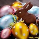 SLVie 3 – Atelier création de chocolat + chasse aux oeufs – 15/04/2023 à 14h30